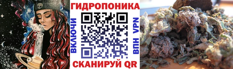 Бошки марихуана план  гидра tor  Пошехонье 